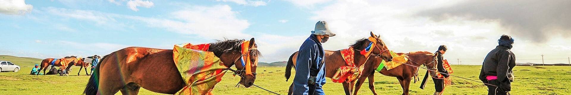 Inner Mongolia horse riding