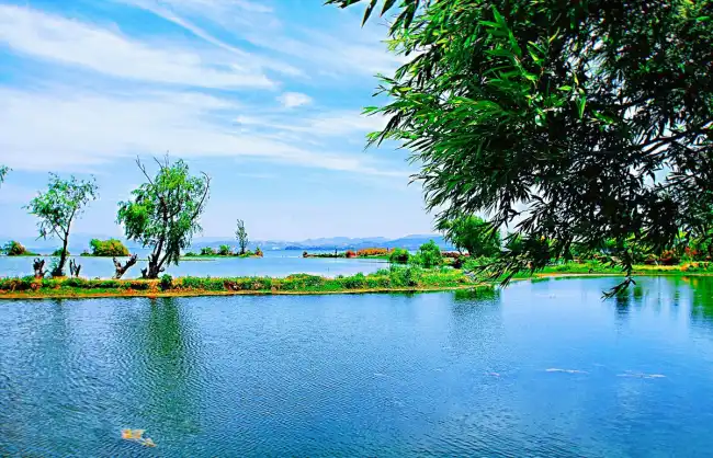 Dianchi Lake in Summer