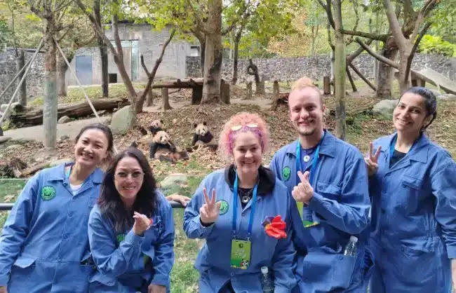Dujiangyan Panda Volunteer Program