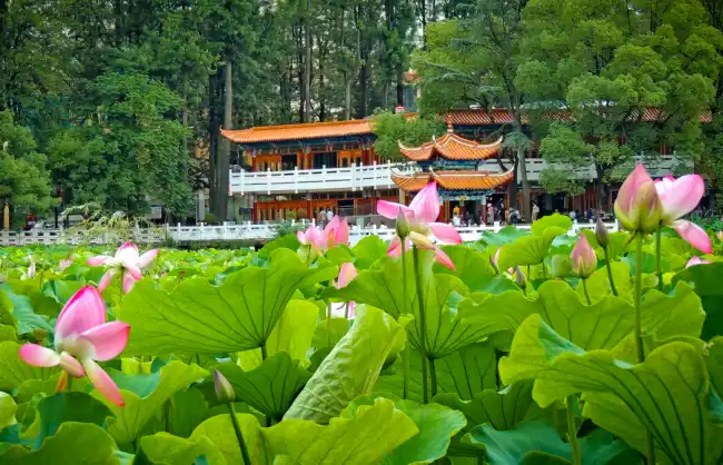 Kunming Green Lake Park
