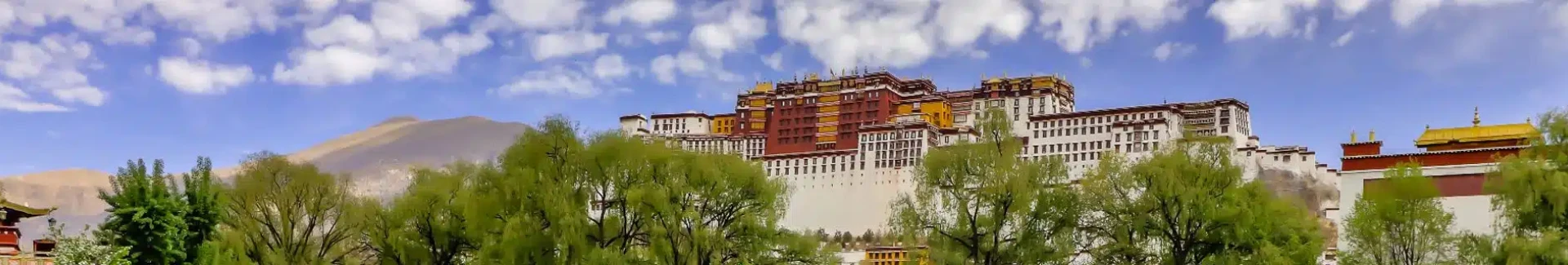 Tibet Potala Palace head