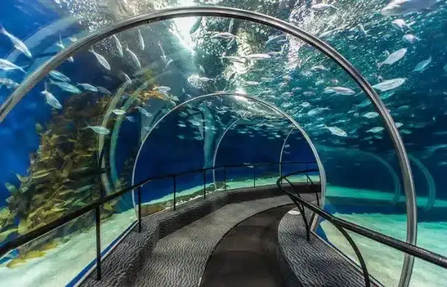 Shanghai Ocean Aquarium