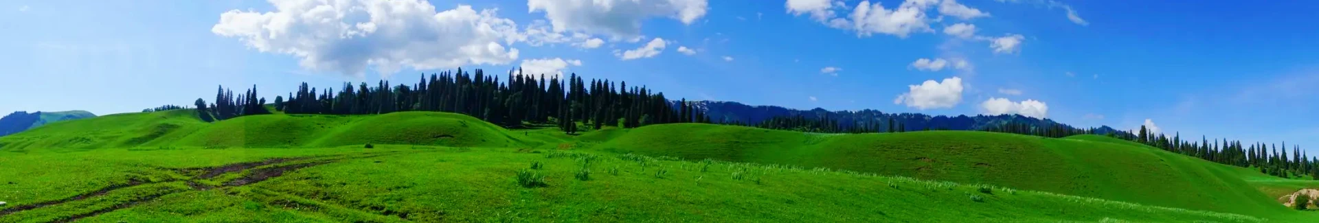 Xinjiang Nalati Grassland