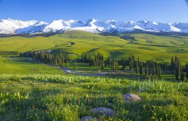 Xinjiang Nalaty Prairie